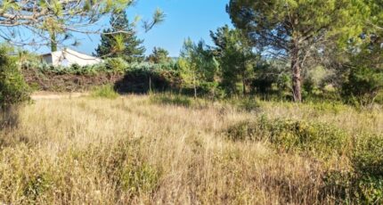 Camps-la-Source Terrain à bâtir - 2664805-10025annonce520261006eGkBD.jpeg PCA Maisons