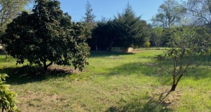 Saint-Maximin-la-Sainte-Baume Maison neuve - 2665197-10025annonce320261006nl7xH.jpeg PCA Maisons