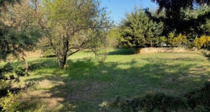 Saint-Maximin-la-Sainte-Baume Maison neuve - 2665197-10025annonce120261006TkbLq.jpeg PCA Maisons