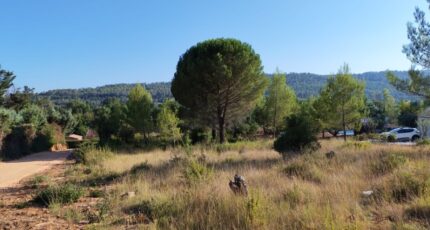 Camps-la-Source Maison neuve - 2664807-10025annonce420261006s6mem.jpeg PCA Maisons