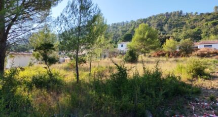 Camps-la-Source Maison neuve - 2664789-10025annonce120261006s6aOP.jpeg PCA Maisons