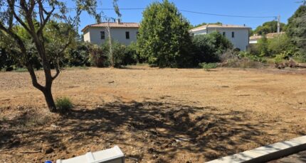 Six-Fours-les-Plages Maison neuve - 2664761-10025annonce420261006CpgJc.jpeg PCA Maisons