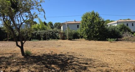 Six-Fours-les-Plages Maison neuve - 2664761-10025annonce320261006mXZPq.jpeg PCA Maisons