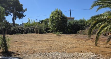 Six-Fours-les-Plages Maison neuve - 2664761-10025annonce420261006M3Xvl.jpeg PCA Maisons