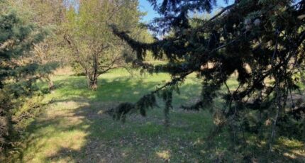 Saint-Maximin-la-Sainte-Baume Maison neuve - 2667291-10025annonce5202610070uP3b.jpeg PCA Maisons