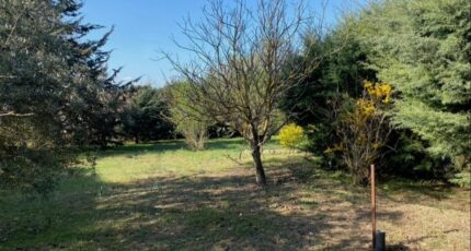 Saint-Maximin-la-Sainte-Baume Maison neuve - 2667291-10025annonce220261007zescc.jpeg PCA Maisons