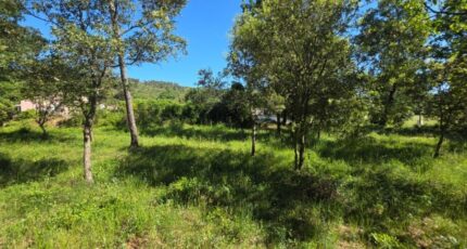 Garéoult Terrain à bâtir - 2572290-10025annonce320260702WpnZ9.jpeg PCA Maisons