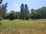 Terrain à bâtir à Gonfaron (83590) 2678895-9891annonce220261015DtTFP.jpeg PCA Maisons