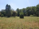 Terrain à bâtir à Gonfaron (83590) 2678895-9891annonce420261015HA1wR.jpeg PCA Maisons