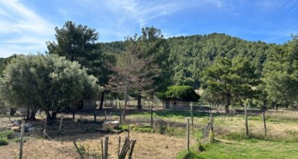 Cuges-les-Pins Terrain à bâtir - 2690623-10025annonce120261026udOtK.jpeg PCA Maisons