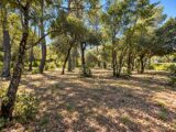 Terrain à bâtir à Nans-les-Pins (83860) 2693236-10025annonce320261028tRDFl.jpeg PCA Maisons