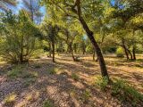 Terrain à bâtir à Nans-les-Pins (83860) 2693236-10025annonce420261028DMbDd.jpeg PCA Maisons