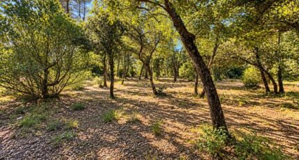 Nans-les-Pins Terrain à bâtir - 2693261-10025annonce420261028bt51J.jpeg PCA Maisons