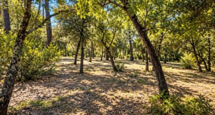 Nans-les-Pins Maison neuve - 2693237-10025annonce520261028vTKt8.jpeg PCA Maisons