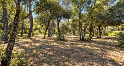 Nans-les-Pins Maison neuve - 2693263-10025annonce320261028cO7U5.jpeg PCA Maisons